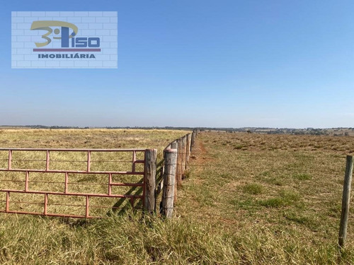 Imagem 2 de 15 de Fazenda Em Centro - Jales - 1815