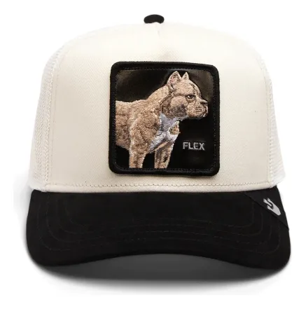 Gorra Goorin Bros The Suede Pitbull Flex