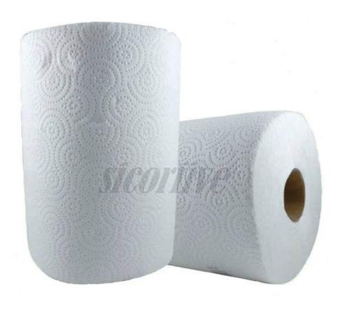 Bolson De Papel Absorbente X 12 Unidades 