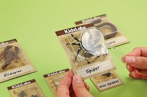 Juego De Experimento Excavación De Insectos Para Niños