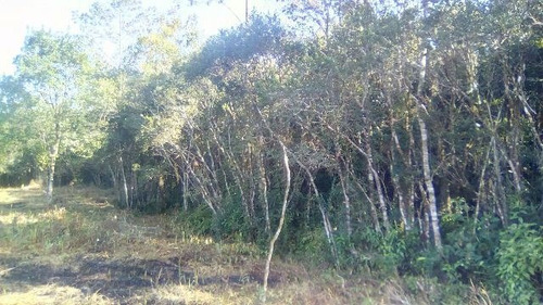 Chácara No Gaivota, Itanhaém Lado Serra À 9km Da Rodovia