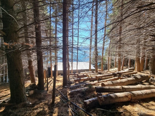 Imagen 2 de 29 de Terreno Lote En Venta Ubicado En Villa Campanario, Bariloche, Patagonia