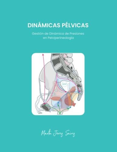 Dinamicas Pelvicas: Gestion De Dinamica De Presiones En Pelv