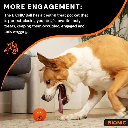 Pelota Grande Interactiva Para Perros Resistentes A Morder