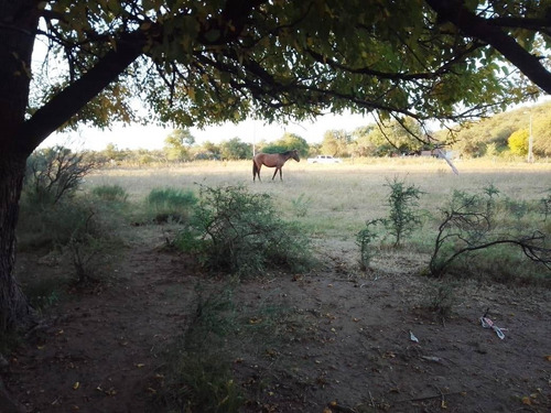 Imagen 7 de 17 de Oportunidad En Panaholma ! Hermosos Lotes De 1350 M2 A 300 Metros Del Rio