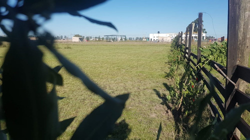 Imagen 14 de 15 de Fracción De Terreno 5.004,40 M2 En Venta Guernica
