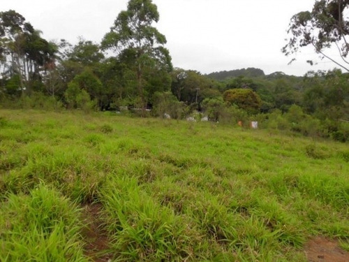 Imagem 6 de 13 de Terreno Ibiuna-cupim - 26