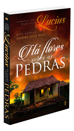 Há Flores Sobre as Pedras, de Ruiz, André Luiz. Editora Instituto de Difusão Espírita, capa mole em português, 2019