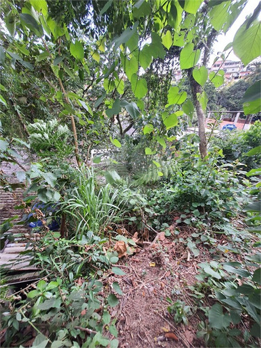 Imagem 14 de 15 de Terreno-são Paulo-campo Limpo | Ref.: Reo650663 - Reo650663
