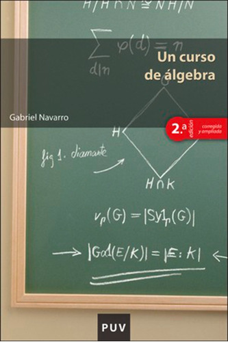 Un Curso De Álgebra, 2a Ed., De Gabriel Navarro Ortega