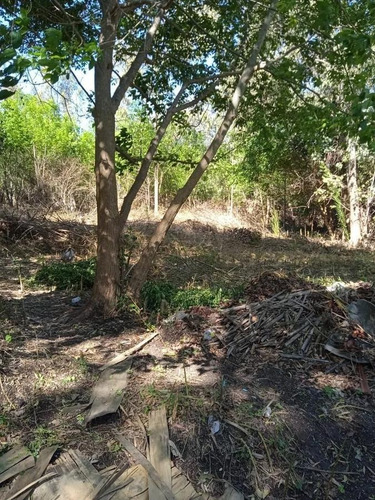 Imagen 2 de 7 de Terreno - Del Viso