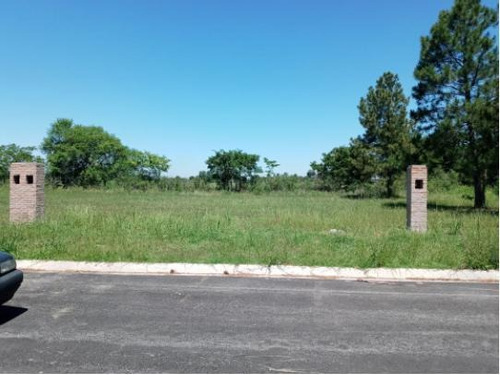 Imagen 8 de 8 de Venta Lote Terreno Parque Nueva Zelaya Pilar