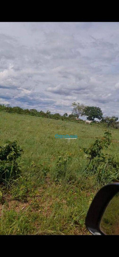 Imagem 13 de 15 de Fazenda A Venda - Área Rural - Fa0236