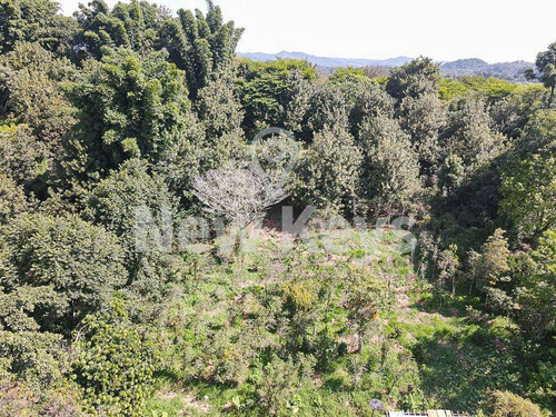 Imagen 4 de 4 de Venta De Terreno En Coatepec Veracruz