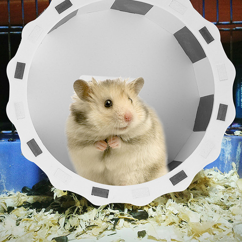 Rueda Para Correr Hamster Toy Hamster