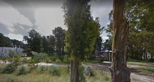 Terreno En Venta -  Pinamar -  800m2,  Imperdible En El Bosque!