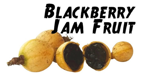 Randia Blackberry Jam Estrela  Fruta 20 Sementes Para Mudas