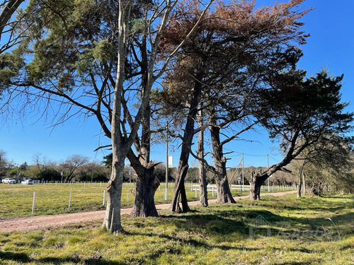 Imagen 15 de 30 de Lote Terreno En Venta 300 M2 - Parques Del Morenito, Moreno Norte