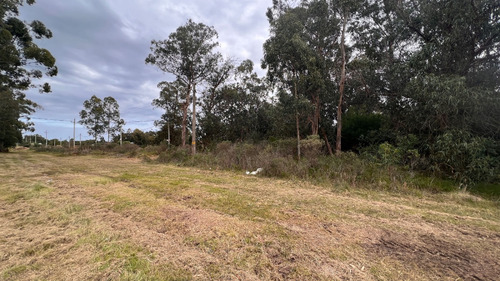Terreno En Piriápolis (barra De Portezuelo) Ref. 6039