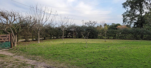 Imagen 22 de 30 de Quinta - Gualeguaychu