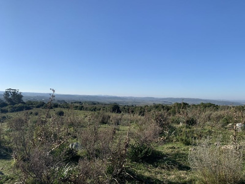 Imagen 7 de 21 de Campo 36 Hectáreas Proximo Ruta 12 Pueblo Edén.