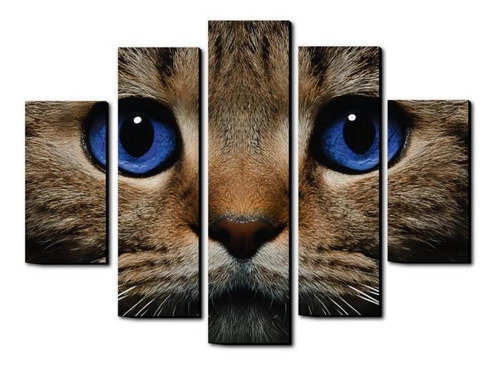 Cuadro Decorativo Gato Ojos Azules 75 Cm X 60 Cm 5pz