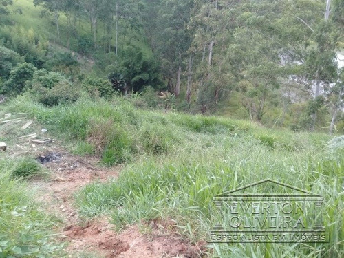 Imagem 4 de 9 de Terreno - Bandeira Branca - Ref: 11578 - V-11578
