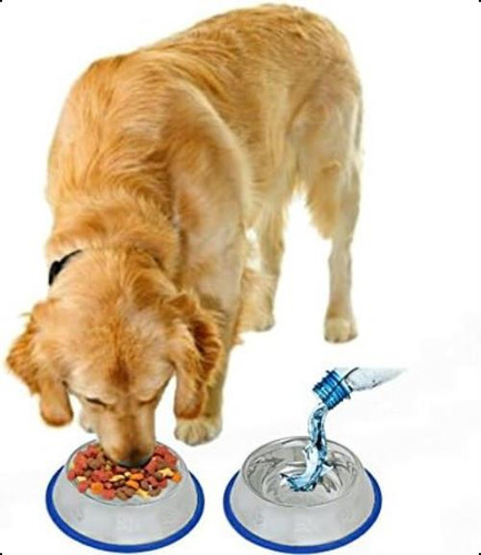 Juego De 2 Cuencos De Acero Inoxidable Para Perros Grabados