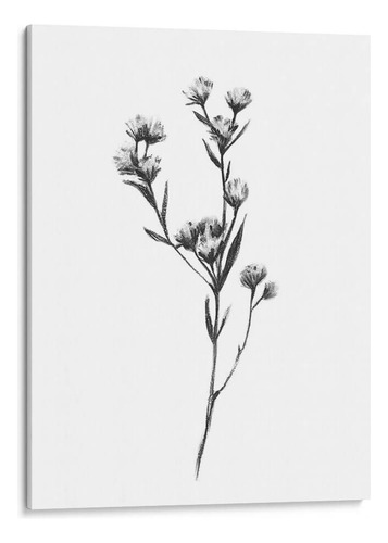 Canvas Lab Cuadro Tabaño Salvaje I 45x60, Emma Scarvey