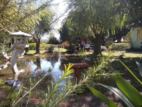 Imagen 30 de 30 de Casaquinta - Relax Total - Eventos De Día