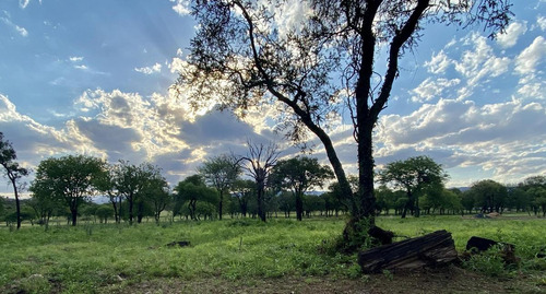 Venta Lote - Estancia El Terron - Fondo Golf Hoyo 3 - Excelente Ubicación