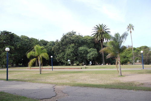 Venta Apartamento 2 Dormitorios Parque Batlle Parque Belgrano