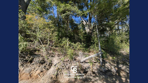 Imagen 10 de 23 de Venta Lote/terreno Fracción De 6500,24 M2 Vista Al Lago Faldeo Del Bayo Villa La Angostura