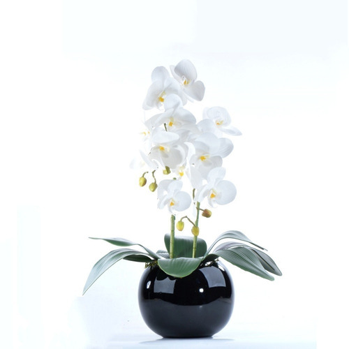 Arranjo 2 Orquídeas Brancas Em Vaso Preto Brilhante