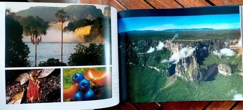 Tepuy Colosos De La Tierra Roraima Fotos Mapas Terramar (Usado)