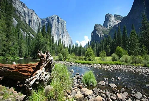 Fondo De Lago Y Montañas