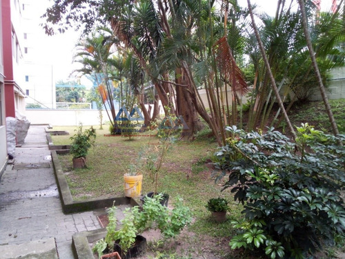 Imagem 8 de 15 de Apartamento Em Jardim Celeste - São Paulo, Sp - 2538