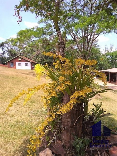Imagem 13 de 16 de Rural Chacara - 669235-v