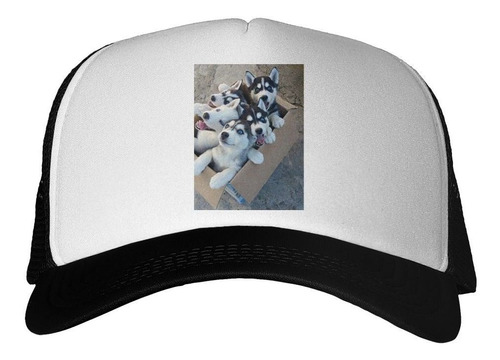 Gorra Husky Siberiano Cachorros M2