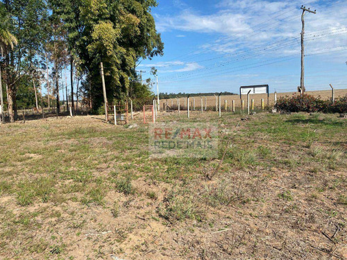 Imagem 9 de 25 de Chácara À Venda, 12.100 M² Por R$ 700.000 - Rio Bonito - Botucatu/sp - Ch0036