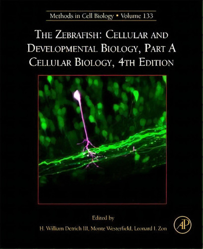 The Zebrafish: Cellular And Developmental Biology, Part A Cellular Biology: Volume 133, De H. William Detrich. Editorial Elsevier Science Publishing Co Inc, Tapa Dura En Inglés