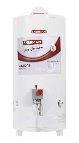 Juego De Inyectores Para Termotanque Sherman Gas / Envasado 