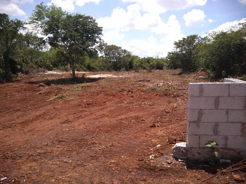 Imagen 2 de 18 de Terreno - Pueblo Cholul