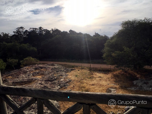 Imagen 4 de 29 de Chacra En Venta - La Pataia