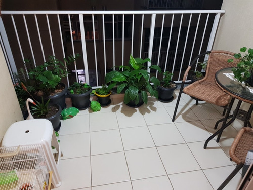 Imagem 28 de 30 de Apartamento Para Venda No Centro Em São Gonçalo - Rj - 258