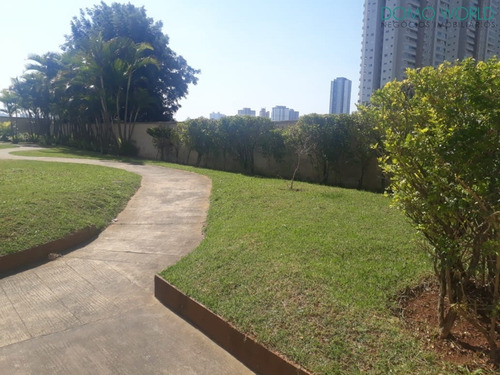Imagem 16 de 23 de Amplo E Aconchegante - Excelente Localização! - Ap02738 - 70270066