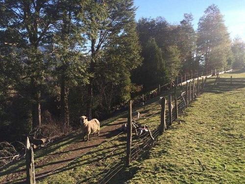 Excelente Terreno En Venta En Pucón / Sector Menetúe
