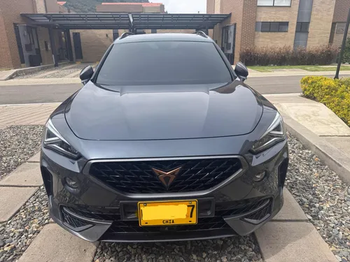 Cupra formentor 2.0 Tsi Metalizado Dsg