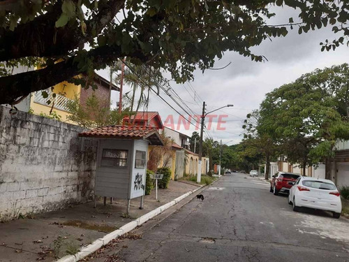 Imagem 5 de 5 de Terreno Em Jardim Guapíra - São Paulo, Sp - 333021
