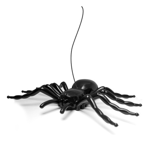 Araña De Juguete Xl Niños Diversion Tarantula Jugar Ap